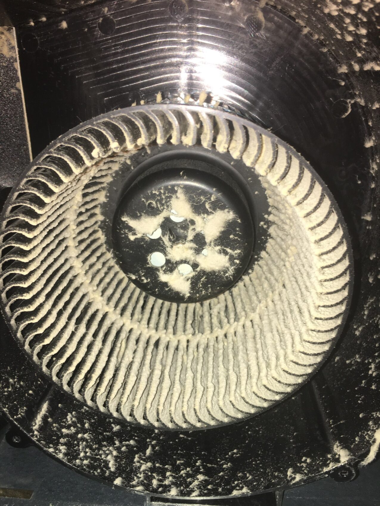 Exhaust fan cleaning