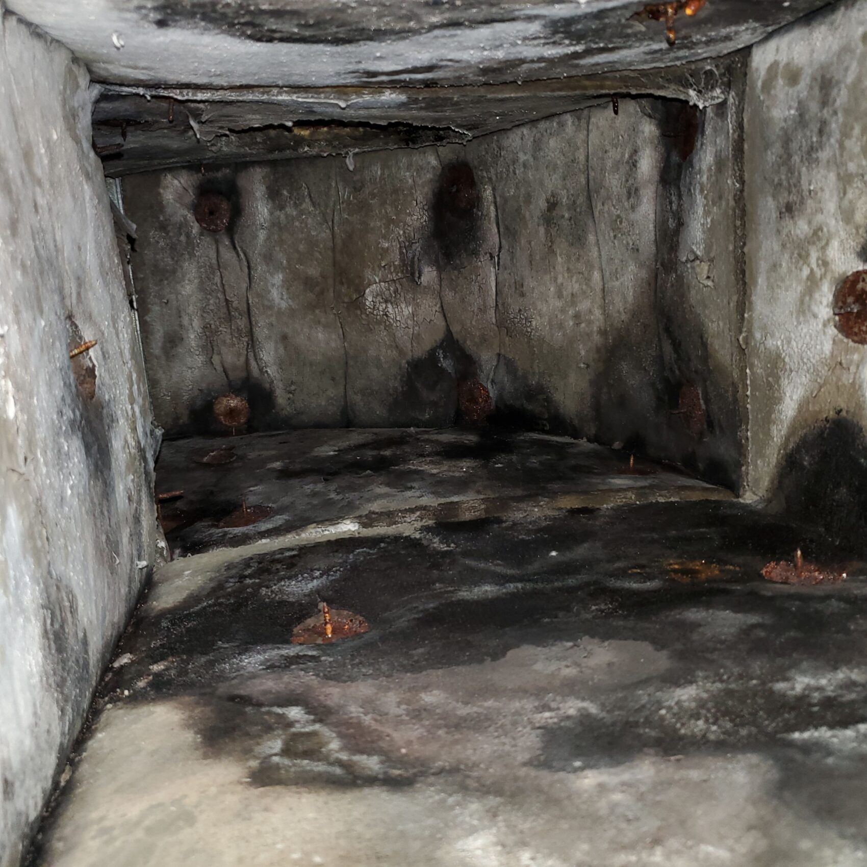 Mold in ducts