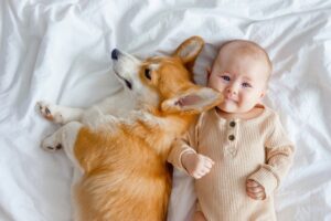 Creating a Healthier Home for New Parents and Pet Owners