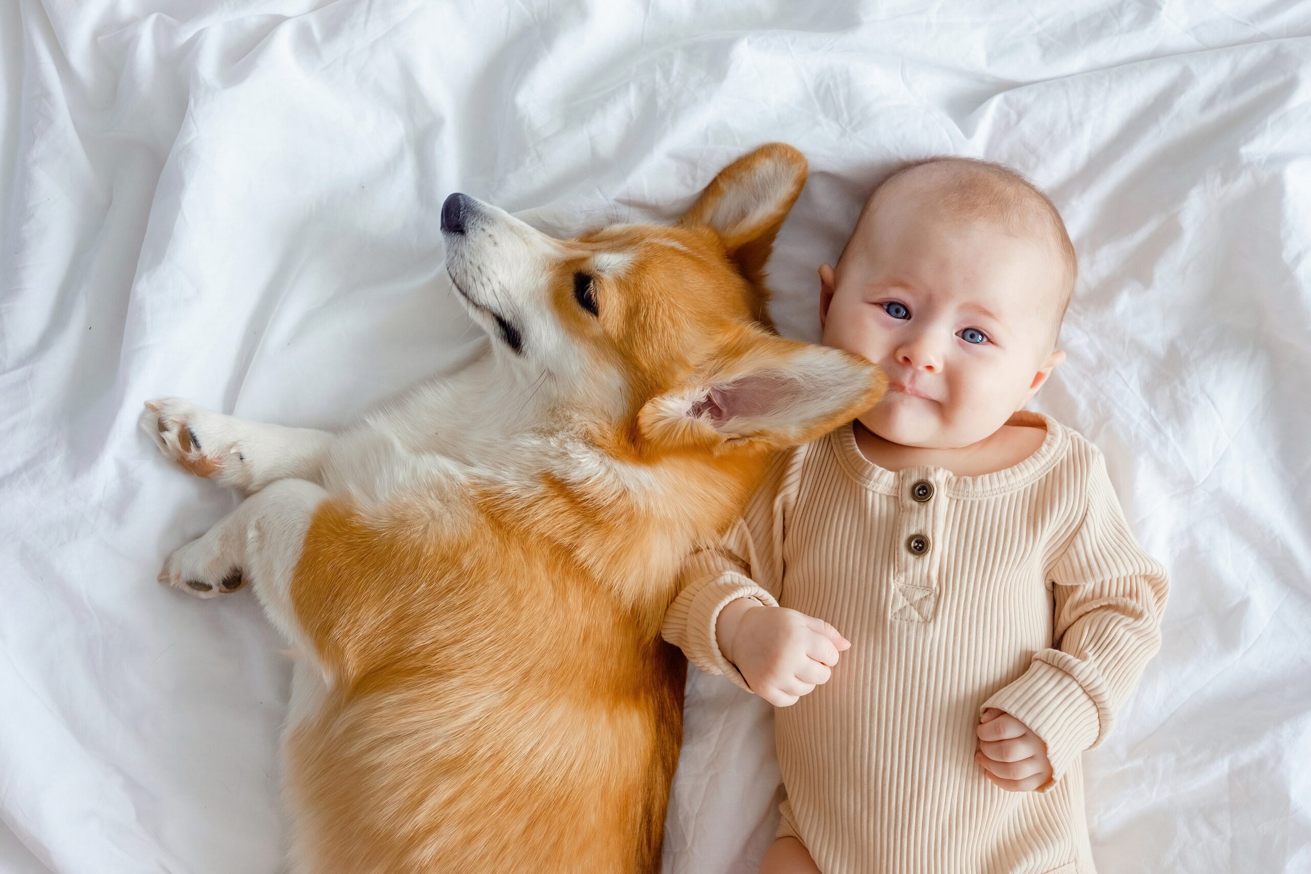 Creating a Healthier Home for New Parents and Pet Owners