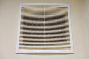 inside your air ducts