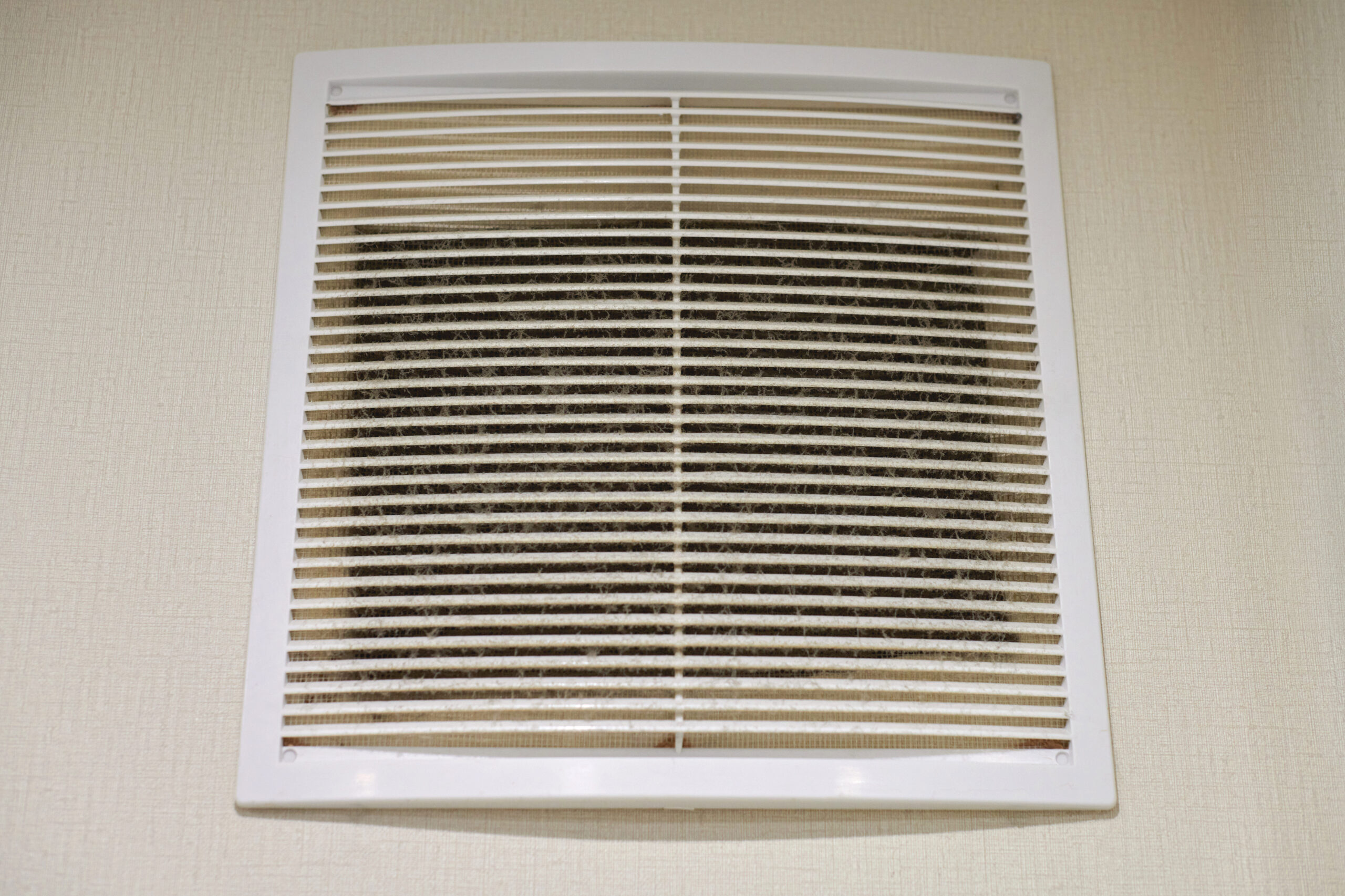 inside your air ducts