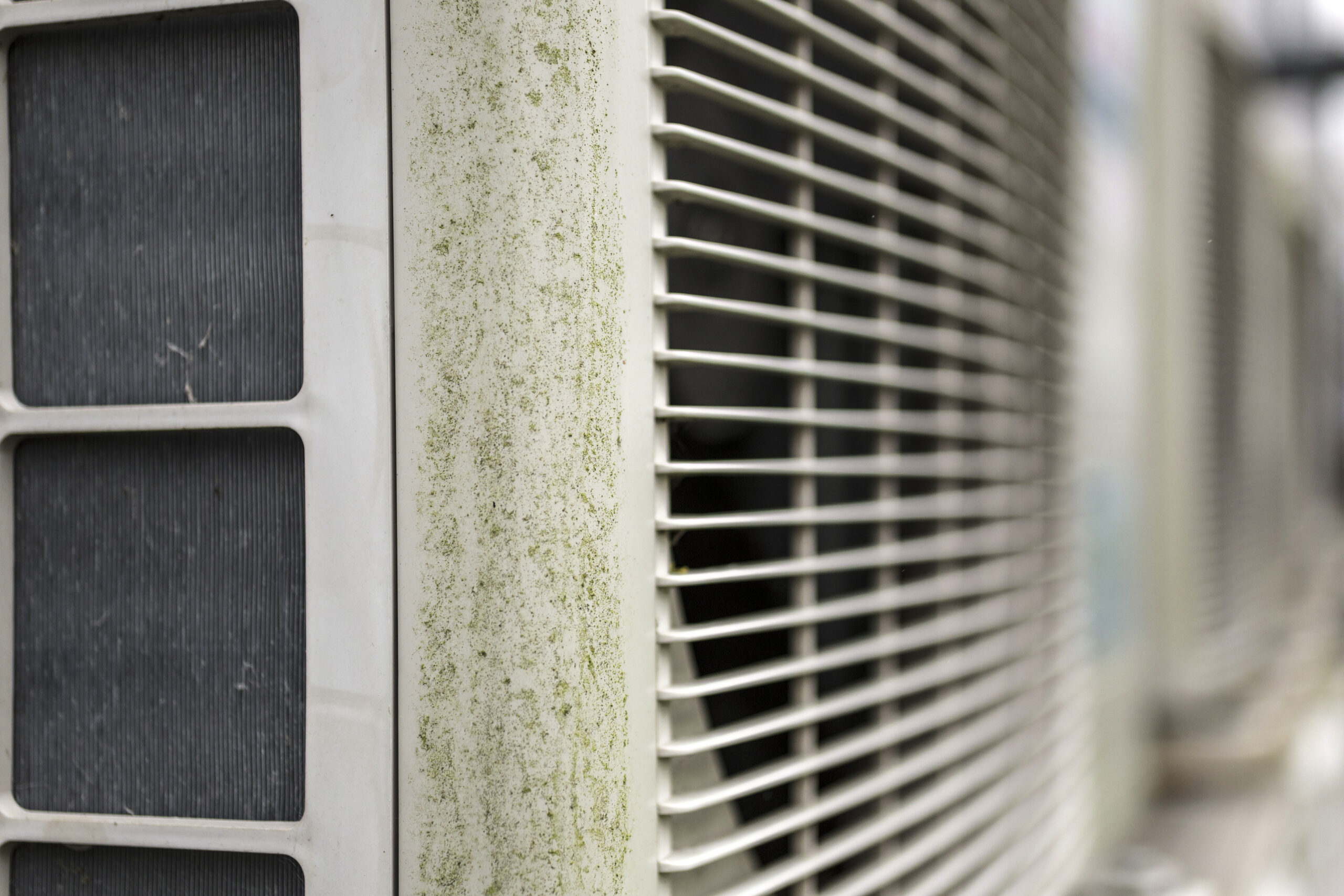 Why Dirty Ducts Create the Perfect Environment for Mold Growth