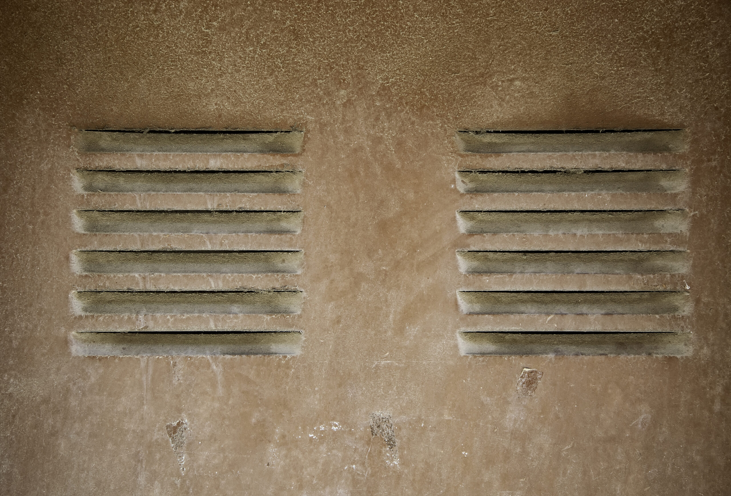 Visible Dust and Mold on Vents: What It Really Means for Your Air