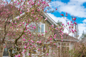 Signs Your Air Ducts Need Cleaning This Spring