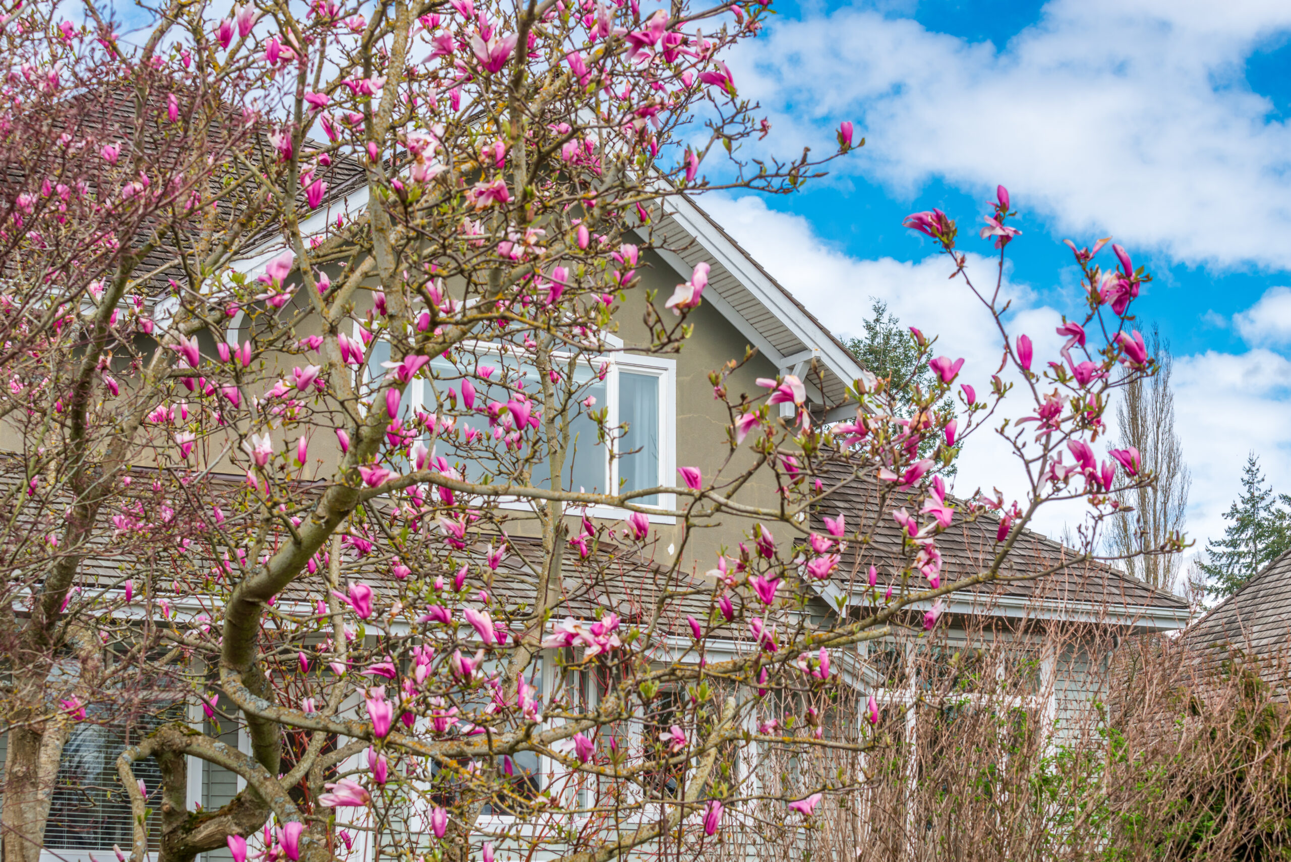 Signs Your Air Ducts Need Cleaning This Spring