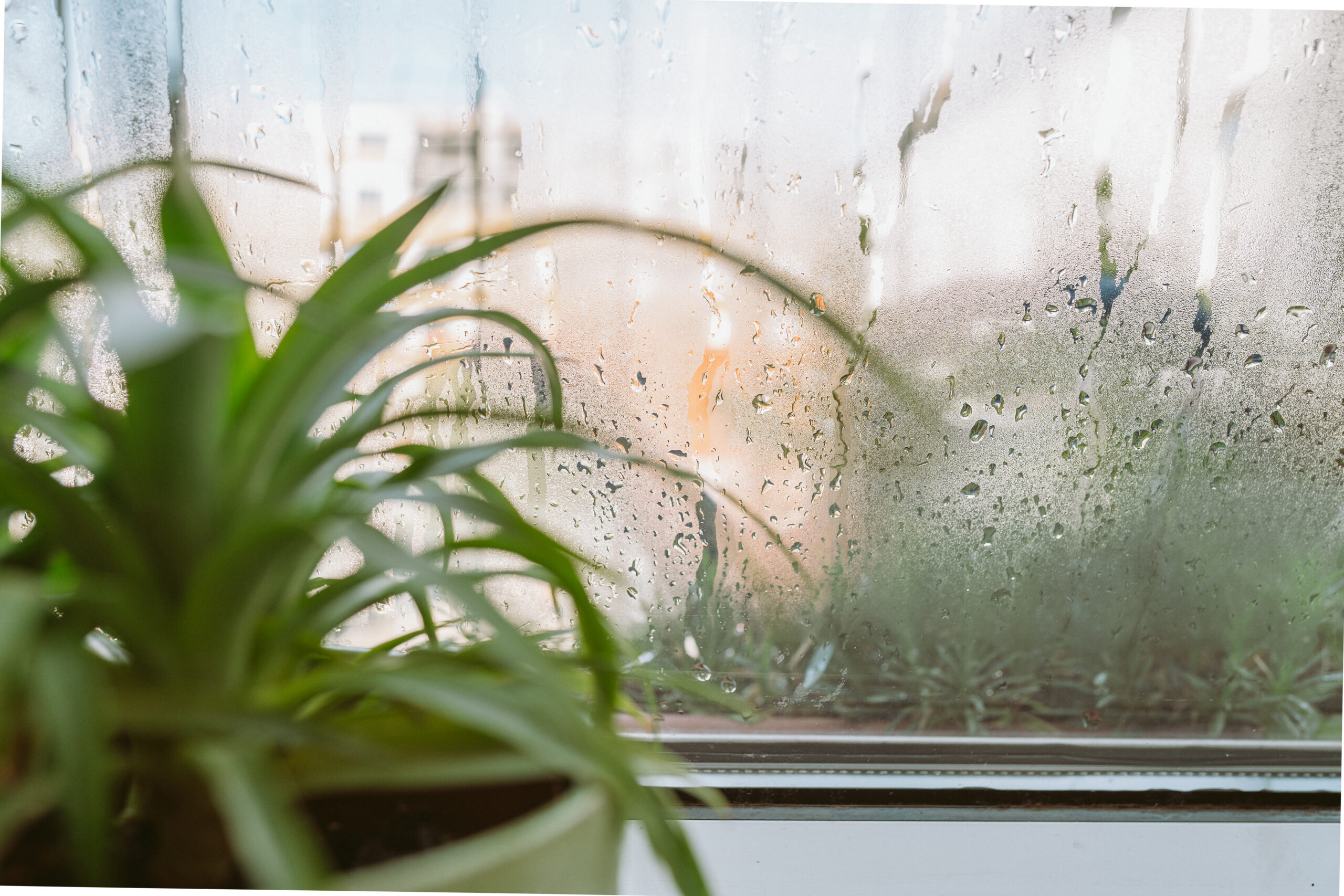 high humidity indoor air quality