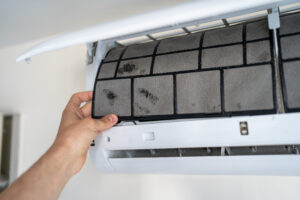 Is Mold Hiding in Your HVAC System? Here’s What You Need to Know