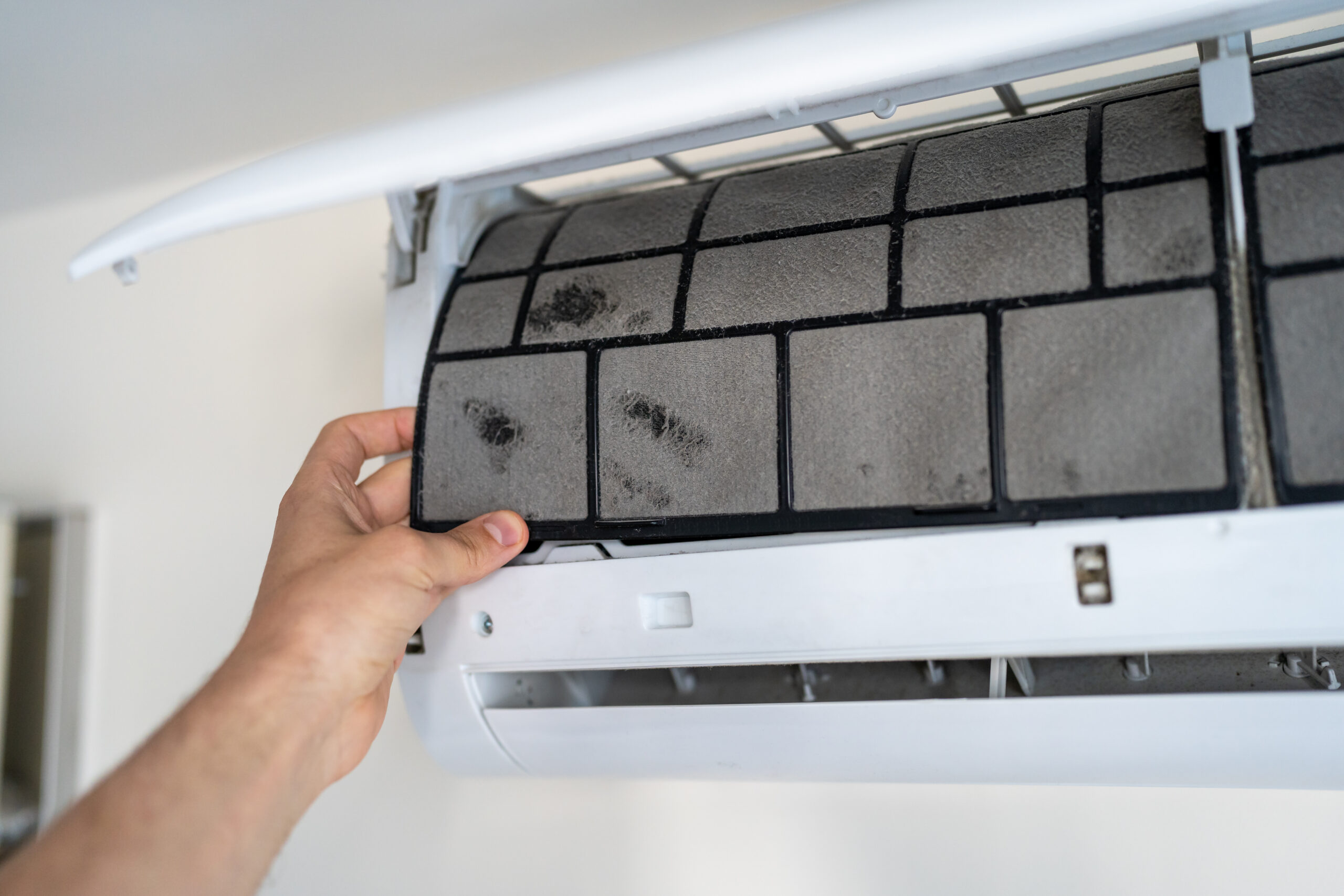 Is Mold Hiding in Your HVAC System? Here’s What You Need to Know